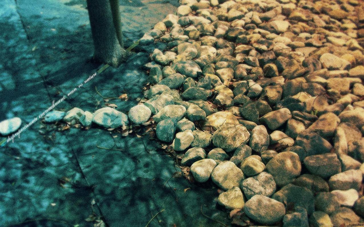快手评论涨赞1000个,cf小苹果在线,1元涨1000粉丝网站